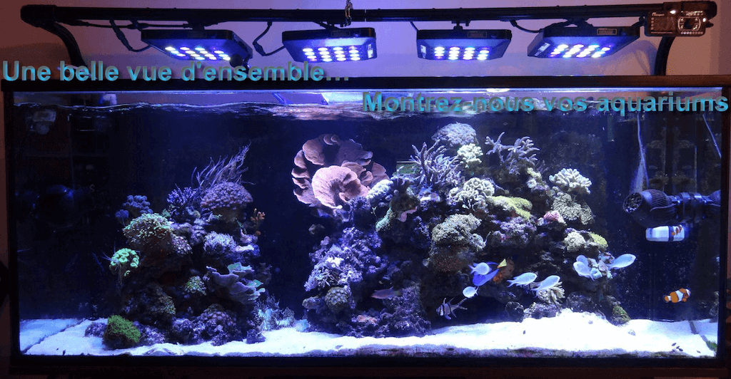 fts.png