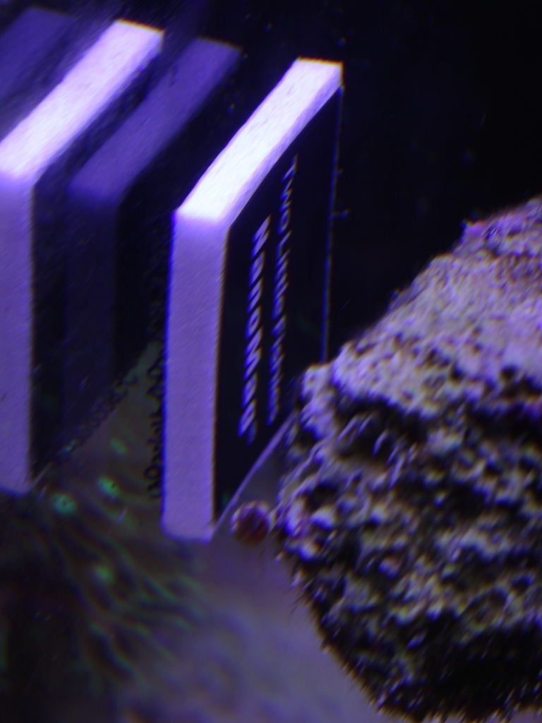 img13.jpg