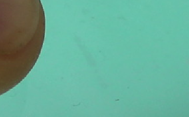 img2.png