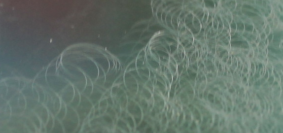 img6.png