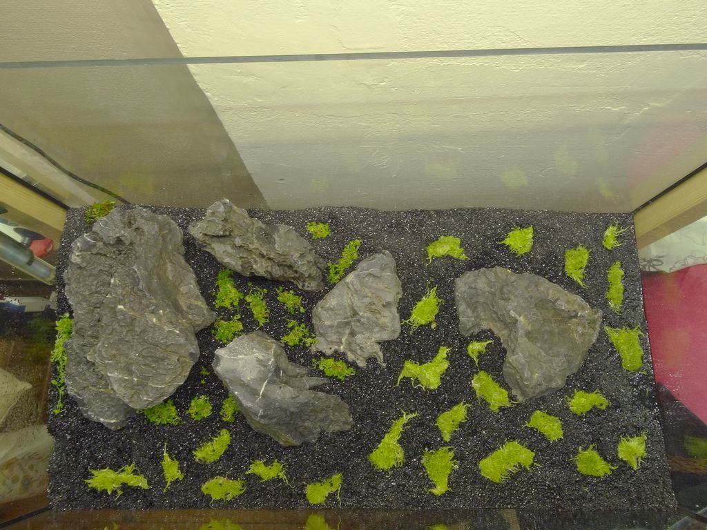 recifalnews-hardscape-img02.jpg