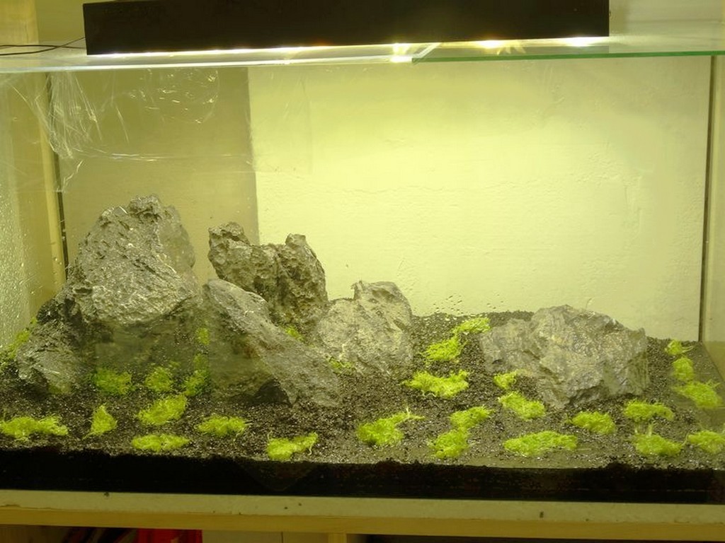 recifalnews-hardscape-img03.jpg