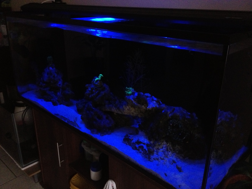 Éclairage LED pour aquarium - Aqualight Solution