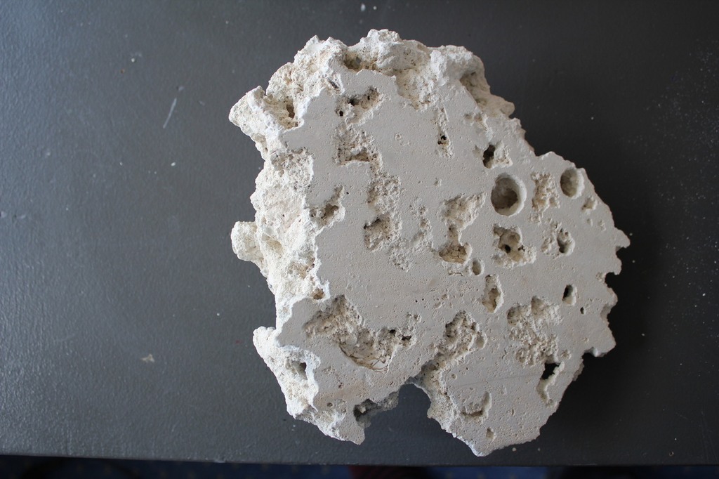 img05.jpg