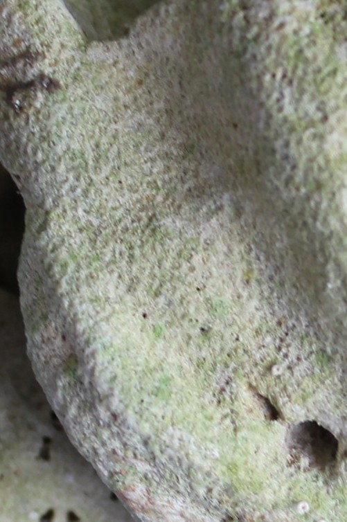 img07.jpg
