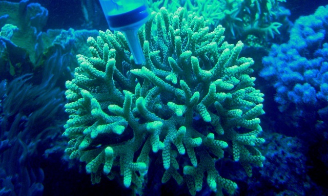 854247IMAG0012.jpg
