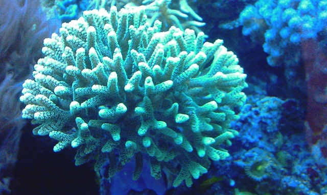 892191IMAG0265.jpg