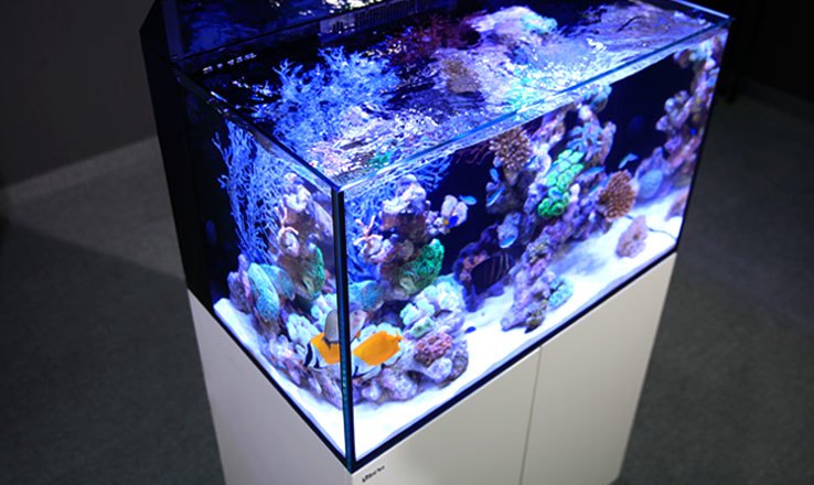 ULTRA-GLASS1.jpg