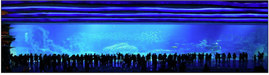 img4.png