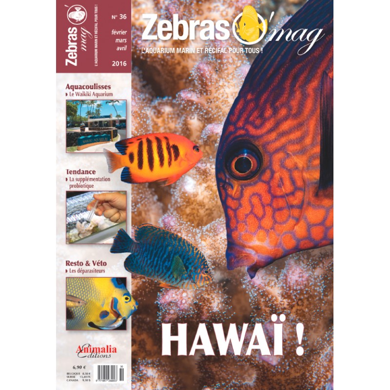 zebraso-mag-n36.jpg