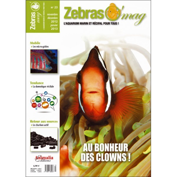 zebraso_mag_n23.jpg