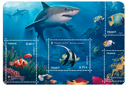gallery_8_3_34339.png